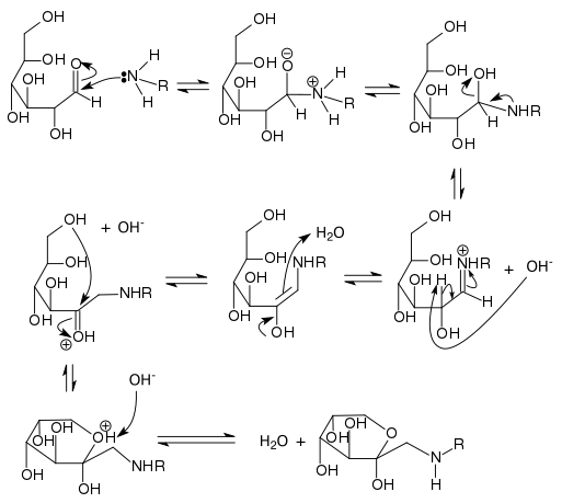 Mechanism of formation of Amadori product from D-glucose